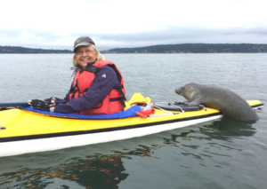 photo of seal on kayak